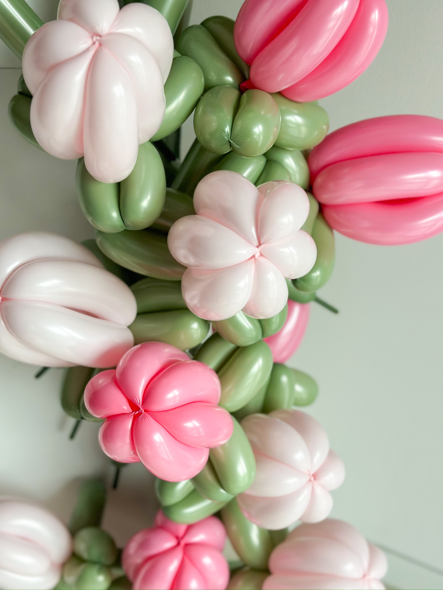 Tulipani balonski zeleni